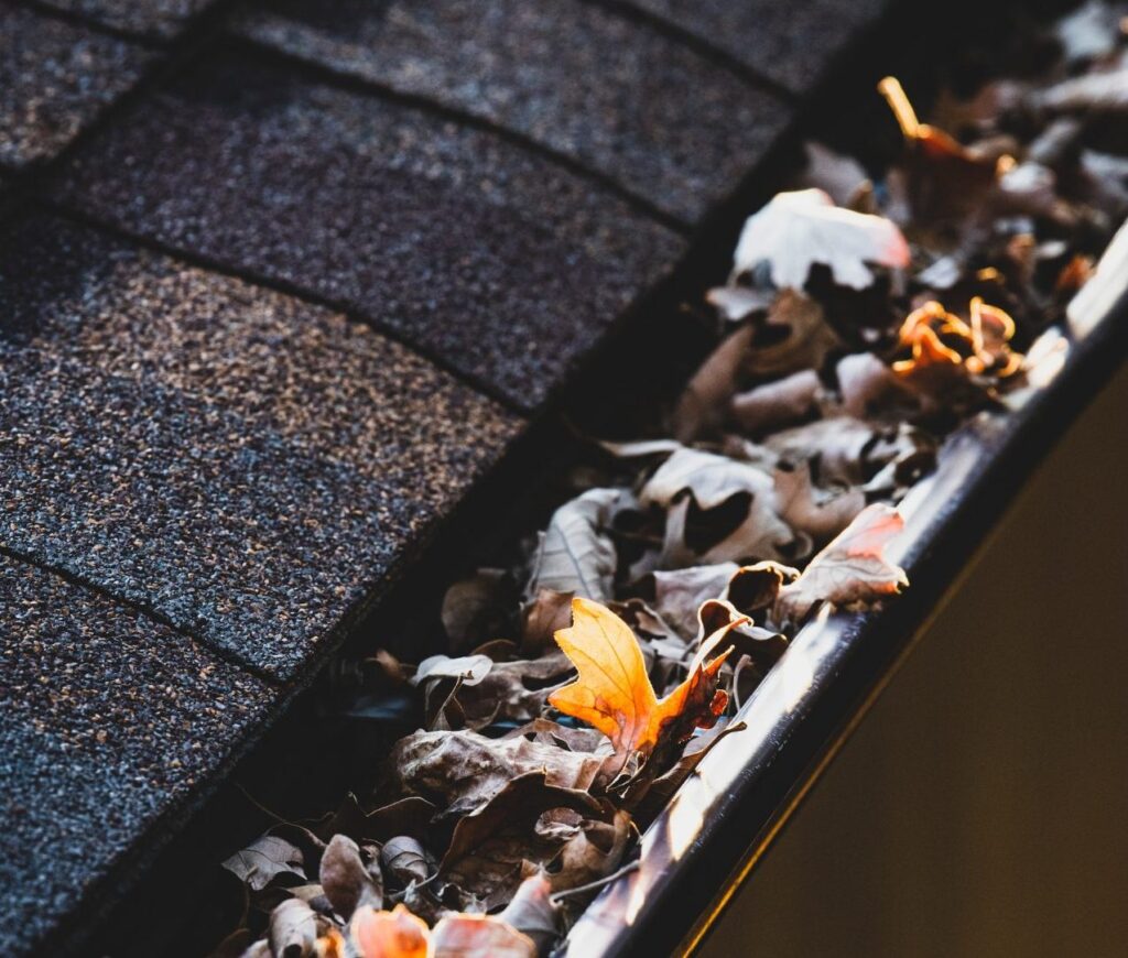 The Role of Gutter Guards: Enhancing Your Gutter System’s Longevity
